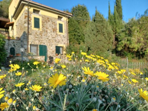 Il Fontolo